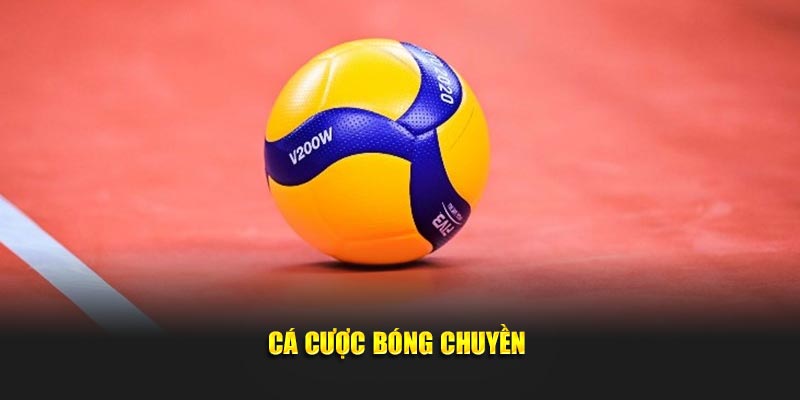 Cá cược bóng chuyền 